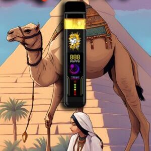 Hitz Gen 7 Habibi Squirt